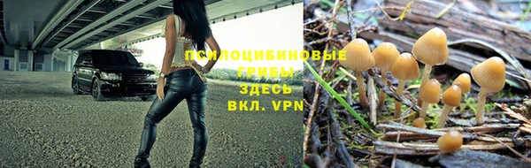 мдпв Нефтегорск